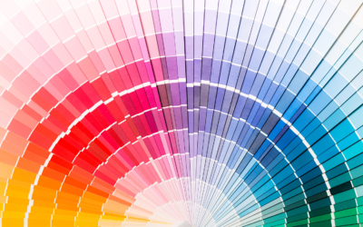 Los Colores que Proyectan Energía y Optimismo para un Nuevo Comienzo